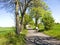 Cycling in spring rural dirt path