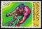 Cycling, Summer Olympic Games 1976 - Montreal serie, circa 1976