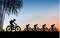 Cycling touring group