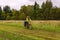 Cycling tourist rides on a dirt road through a field