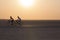 Cycling track in the desert