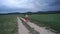 Cycling woman in a field on a bike. Smiling beautiful girl with a bike. Cyclist girl enjoying and cycling. Beautiful