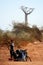 Cyclist and baobabs