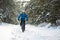 Cyclist in Blue Riding the Mountain Bike in Beautiful Winter Forest. Extreme Sport and Enduro Biking Concept.