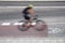 Cyclist in blurred motion