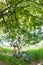 Cyclist in blurred motion riding a bike in a forest