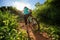 Cyclist carrying mountain bike climbing on summer forest trail