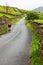 Cyclist in countryside