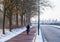 Cyclist cycling on a road during winter season in the Netherlands