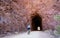 A cyclist enters a tunnel on the Historic Railroad Trail