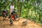 Cyclist feeding monkeys in Bali