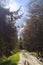 Cyclist, forest, walk, travel, adventure, trail, healthy, life, grade, activity