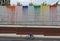 Cyclist in front of colored concrete wall