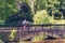 Cyclist in helmet riding in park on bridge