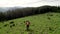 Cyclist man riding electric mountain bike outdoors along grassy trail in the mountains.