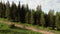 Cyclist man riding electric mountain bike outdoors along grassy trail in the mountains.