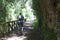 Cyclist near a wooden fence in the bear path in Asturias