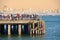 Cyclist on pier