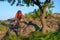 Cyclist in Red Jacket and Helmet Riding Mountain Bike Down Rocky Hill near Beautiful Green Tree. Adventure and Extreme Sport Conce