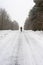 Cyclist on remote snowy road through trees