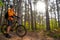 Cyclist in Resting with Mountain Bike on the Trail in Beautiful Pine Forest and Looking at Sun. Adventure and Travel.