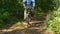 Cyclist rides on picturesque forest