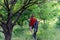 A cyclist rides on the rear wheel of a bicycle along a forest path. Active lifestyle, extreme