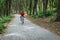 A cyclist rides on a road bicycle on road in woods.