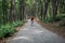 A cyclist rides on a road bicycle on road in woods