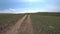 A cyclist rides on a road in a green field.