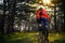 Cyclist Riding the Bike on the Trail in Beautiful Fairy Pine Forest. Adventure and Travel Concept.