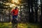 Cyclist Riding the Bike on the Trail in Beautiful Fairy Pine Forest. Adventure and Travel Concept.