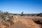 A cyclist riding on a dirt road in the dry desert Karoo.