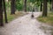 Cyclist Riding down the sandy Hill on the Offroad Trail