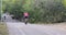 Cyclist riding on road bike, people walk in the park on a summer sunny day, rear view