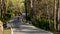 Cyclist in road