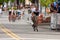 Cyclist Separates Himself From Pack In Criterium Event