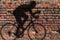 Cyclist shadow on wall