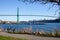 A cyclist takes a break in Ambleside Park with a view of Lionsgate bridge