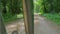 Cyclist travels along bushy green park and rides bicycle