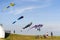 Cyclists admire large flying multi colored kites at East Coast Park