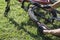 Cyclists checking bicycle wheels, Close-up