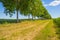 Cyclists on a countryside road in a rural area below a blue sky in sunlight in spring