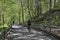 Cyclists on the forest trail - a family trip on bikes in lush green nature