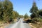 Cyclists in the greenway Los Molinos del Agua in Valverde del Camino, province of Huelva, Spain