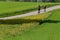 cyclists on a raceday in a distance view