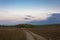 Cyclists ride through a plowed field towards the green forest