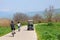 Cyclists ride their bicycles. Golf car driving along the path. Springtime nature. Green grass and trees around