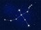 Cygnus constellation. Constellation in the night starry sky