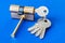 Cylinder lock internal mechanism pin with keys